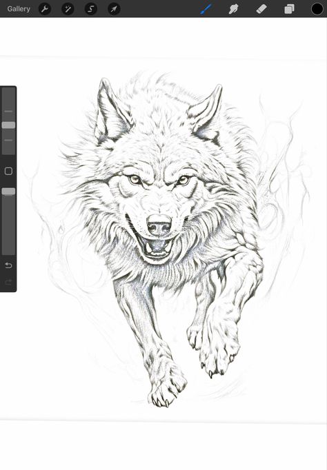 Wolf Outline Drawing, Wolf Growling, Full Body Sketch, Wolf Outline, Body Sketches, Pvc Pipes, Outline Drawing, Tattoo Design Ideas, Outline Drawings