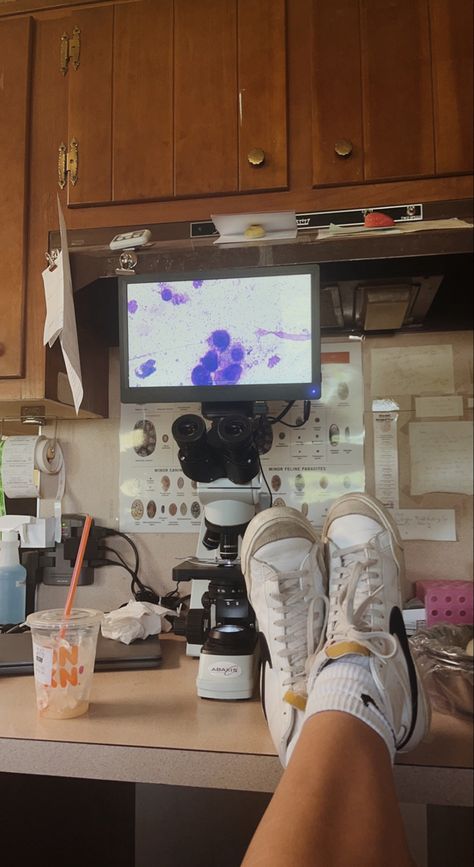 nike high tops propped up on a table with a microscope showing a screen of cells with a dunkin’ donuts iced coffee on the table Science Geek Aesthetic, Female Scientists Aesthetic, Virologist Aesthetic, Science Career Aesthetic, Science Job Aesthetic, Stem Research Aesthetic, Women Stem Aesthetic, Biology Career Aesthetic, Vision Board Science