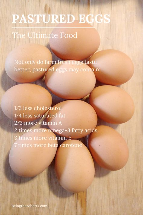 Pastured eggs are a healthy food choice and have better nutrition.  Get some farm fresh eggs. Egg Nutrition, Hobby Farming, Farm Eggs, Building A Chicken Coop, Ketogenic Diet Plan, Hobby Farm, Mini Farm, Farm Fresh Eggs, Buffalo Chicken Dip