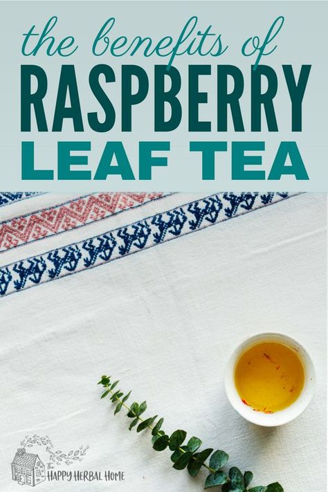 Benefits of red raspberry leaf tea. The womans and pregnancy herb. Although, it's good for men too! Rasberry Leaf Tea, Raspberry Leaf Tea Benefits, Raspberry Leaf Tea Pregnancy, Red Raspberry Tea, Pregnancy Herbs, Red Raspberry Leaf Tea, Baby Nutrition, Pregnancy Tea, Raspberry Leaf Tea