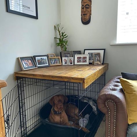 Making Dog Crates Cute, Dog Crate Set Up Puppys, Apartment Dog Setup, Dog Cage Ideas Indoor Living Rooms, Decorating Dog Crates, Dog Friendly Balcony Apartment, Dog Crate Setup, Living Room With Dog Crate, Dog Crate Bedroom