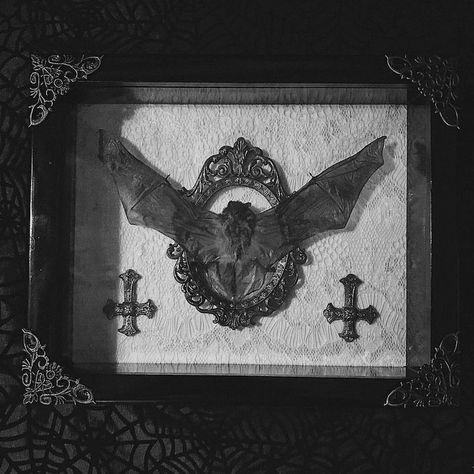 Vampire Goth, Vulture Culture, Victorian Goth, Gothic Aesthetic, Goth Aesthetic, Gothic Decor, Gothic House, Victorian Gothic, Memento Mori