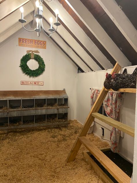 Cute Chicken Coop Interior, Luxury Chicken Coop Interior, Horse Stall Chicken Coop, Barn Stall Chicken Coop, Small Chicken Roost Ideas Diy, Small Chicken Coop Interior Ideas, Chicken Coop Set Up Inside, Metal Shed Chicken Coop Conversion, Metal Chicken Coop Ideas