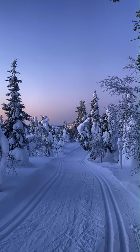 Plain Winter Wallpaper, Lapland Wallpaper, Snow Trees Wallpaper, Wallpaper Aesthetic Snow, Winter Asthetics Photos, Iphone Wallpaper Christmas Aesthetic, Aesthetic Snow Wallpaper, Winter Wallpaper Aesthetic Iphone, Snow Wallpaper Aesthetic