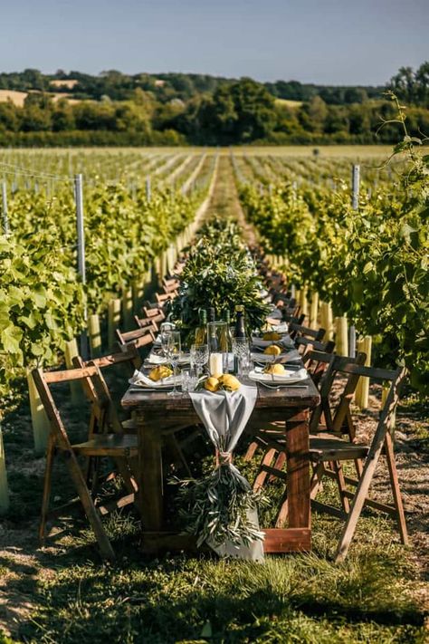 Wedding Venue Vineyard, Alternative Wedding Venues, Vineyard Dinner Party, Wine Farm Wedding, Vineyard Party, Vineyard Picnic, Vineyard Dinner, Arsitektur Art Deco, Winery Event