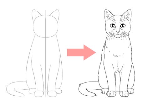 Easy Drawing Tutorials for Beginner & Intermediate Artists Sitting Cat Drawing Easy, Cat Drawing Front View, Cat Front View Drawing, How To Draw Cats Step By Step, Cat Tutorial Drawing, Sitting Cat Drawing, Cat Front View, Overall Drawing, Wolf Drawing Easy