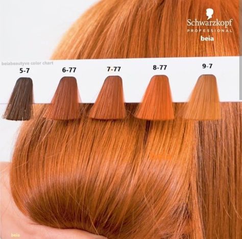 Orange Copper Hair, Igora Hair Color, Copper Blonde Hair Color, Cheveux Oranges, Hair Color Orange, Strawberry Blonde Hair Color, Different Shades Of Red, Hair Color Formulas, Ginger Hair Color