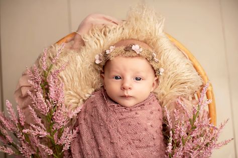 newborn on papasan chair with flowers- winchester tn | Newborn Taylor Pierce, Photography Career, Papasan Chair, Newborn Baby Photography, Family Maternity, Baby Milestones, Photographing Babies, Newborn Session, Maternity Photographer