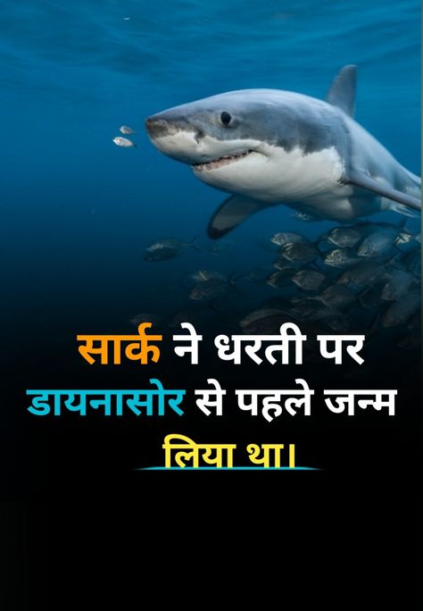 Fact Hindi, Mp Gk, Fun Facts About Earth, Gk Facts, General Knowledge For Kids, Facts About Earth, Daily Fun Facts, Youtube Facts, Mobile Tricks