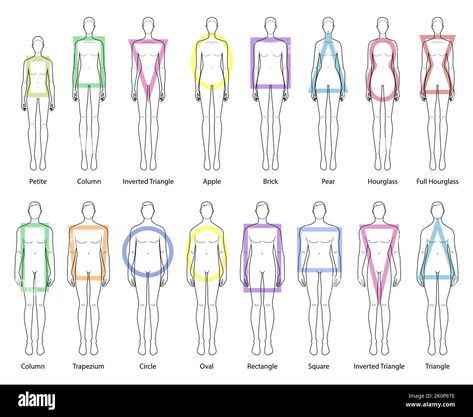 Inverted Triangle Body Drawing, Body Shape Chart Women, Men Body Shape Drawing, Rectangle Body Shape Drawing, Drawing Base Shapes, Hourglass Character Design, Triangle Body Shape Drawing, Body Shapes Drawing Reference, Male Body Shapes Drawing