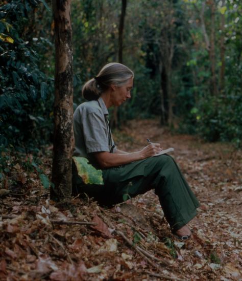 Park Ranger Aesthetic, Writing In A Journal, Teacher Aesthetic, Environmental Scientist, Conservation Biology, Wildlife Biologist, Jane Goodall, Environmental Studies, Marine Biologist