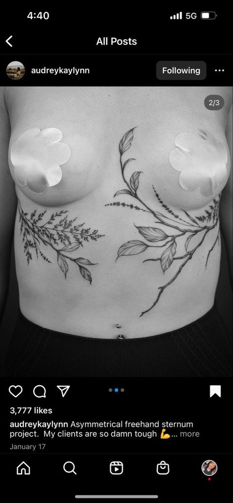 Sternum To Chest Tattoo, Greenery Shoulder Tattoo, Sternum To Belly Button Tattoo, Vines On Stomach Tattoo, Floral Torso Tattoo, Sternum Leaves Tattoo, Sternum Plant Tattoo, Pelvis Tattoos Women Cover Up, Plant Chest Tattoo Female