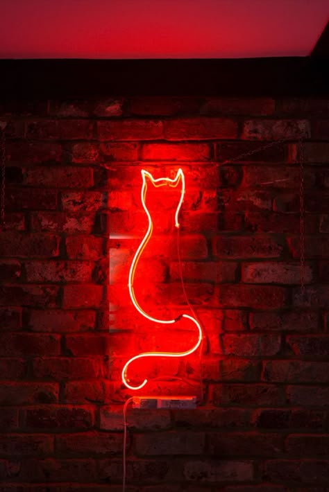 red neon cat light Mirror Decoration Diy, Coat Rack Diy Wall, Neon Light Ideas, Diy Wall Decor Cheap, Neon Lights Bar, Diy Wall Art Painting, Wall Art Painting Ideas, Neon Sing, Neon Led Lights