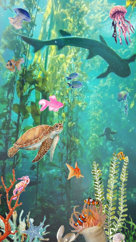 𓆉𐬻 𝓾𝓷𝓭𝓮𝓻 𝓽𝓱𝓮 𝓼𝓮𝓪 𐬼𓆝 Under The Sea Aesthetic, The Sea Aesthetic, Sea Aesthetic, Under The Sea, The Sea