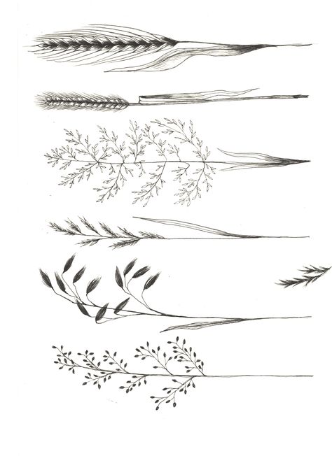 Pretty Vintage Tattoos, Greenery Filler Tattoo, Wild Grasses Tattoo, Wild Plant Tattoo, Cat Tail Tattoo Plant, Grasses Tattoos, Wild Flower Tattoo Stencil, Prairie Grass Tattoo, Vegetation Tattoo