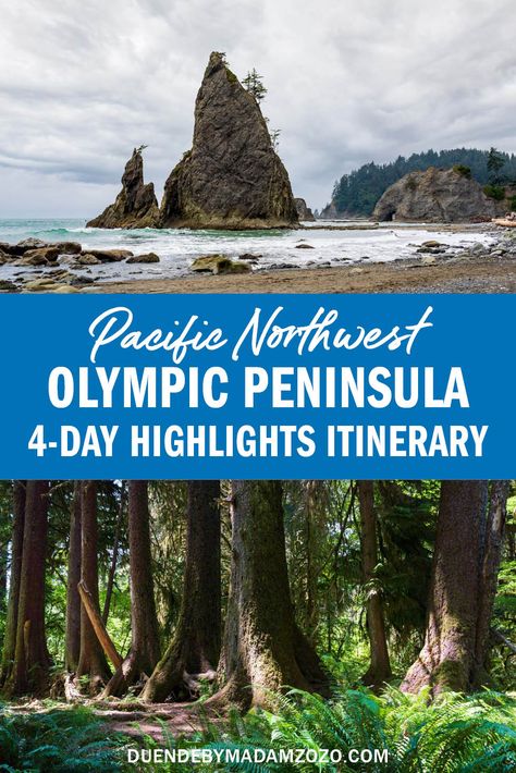 Embark on an unforgettable journey through the breathtaking Olympic Peninsula. Uncover hidden gems and jaw-dropping vistas as you navigate its picturesque roads, charming towns, and awe-inspiring national park. Stay tuned for our complete guide on everything you need to know to make the most out of this once-in-a-lifetime road trip! Olympic National Park Itinerary, Rialto Beach, National Park Itinerary, Tidal Pool, Temperate Rainforest, Alpine Meadow, Olympic Peninsula, Olympic National Park, Memorial Park