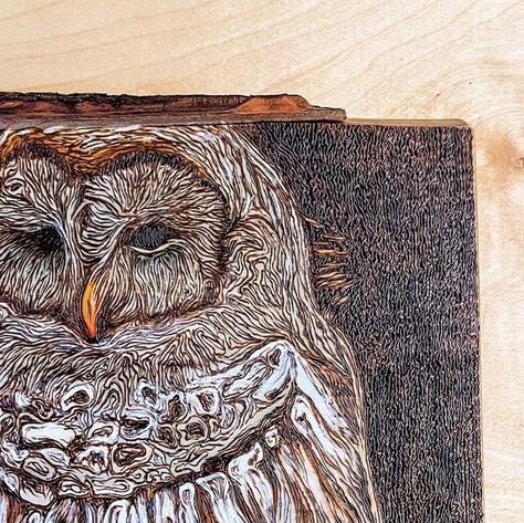 Aney Carver | Pyrography Artist on Instagram: "Who else loves the intricate details of wood burned art? 🦉🔥 Check out my latest creation - a stunning barred owl on a 8" x 11" poplar wood canvas. Each stroke was meticulously done by hand using an optima burning pen. Perfect addition to any nature-lover's collection! Link in bio 🌿 #pyrographyart #woodburning #handmade #barredowl⁠ ⁠ Facts about this piece⁠ - Maple Wood Slab from @kjpselecthardwoods⁠ - Burning Pen from @razertip⁠ - Watercolors from @winsorandnewton⁠ ⁠ ⁠" Wood Burned Art, Barred Owl, Pyrography Art, Wood Burning Art, Wood Canvas, Poplar Wood, Artist On Instagram, Pyrography, Maple Wood