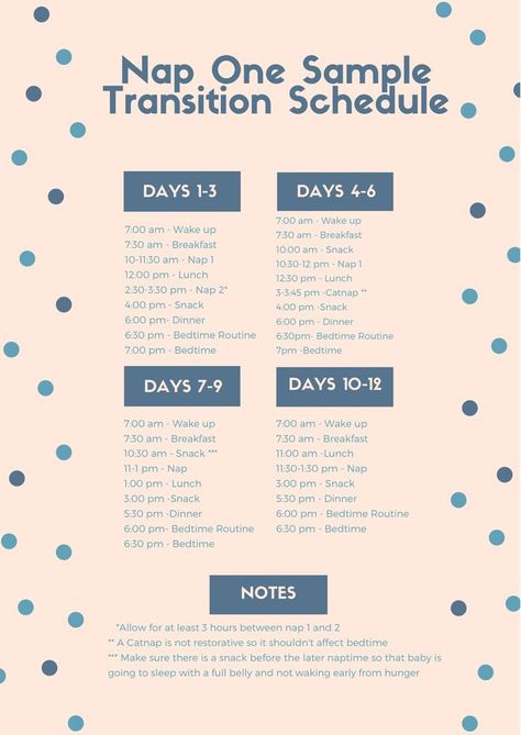 Follow this schedule to transition to one nap One Nap Schedule Baby, Toddler Schedule, Baby Schedule, Baby Nap, Baby Education, The Bump, New Normal, Bedtime Routine, Cat Nap