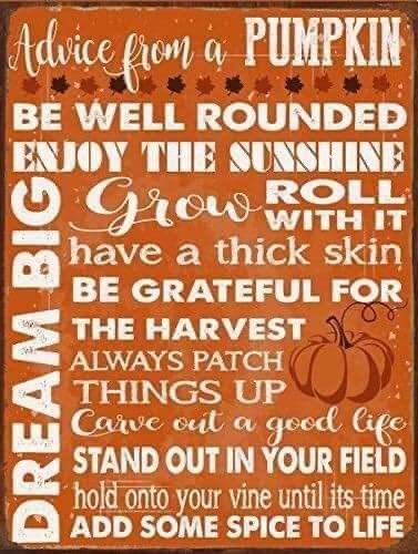 Advice from a Pumpkin Fall Picture Frame, Pumpkin Quotes, Fall Pumpkin Decor, Thick Skin, Autumn Halloween, Thanksgiving Quotes, Enjoy The Sunshine, Halloween Home, Fall Signs