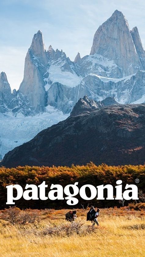 Plakat Design Inspiration, Old Posters, Vintage Poster Design, Vintage Patagonia, Nature Posters, Vintage Poster Art, Room Posters, Wall Deco, New Wall