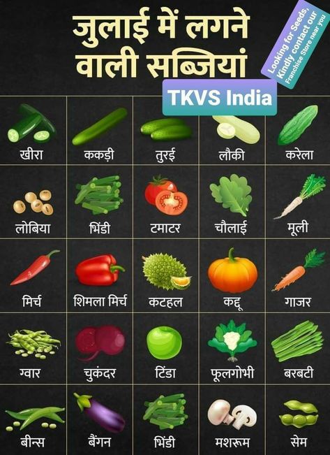 Indian Spices List, Season Vegetables, Name Of Vegetables, Fruits And Vegetables List, Ayurvedic Plants, List Of Spices, Hindi Alphabet, Hindi Language Learning, Fruit Names