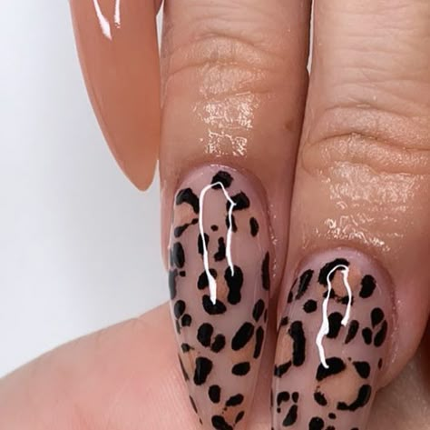 Chasity Rodriguez on Instagram: "ℂ𝕙𝕖𝕖𝕥𝕒𝕙 𝔾𝕚𝕣𝕝𝕤 😆  All these cheetah nails reminding me of the Cheetah Girls 🙃 • • • #sanantonionails #cheetahnails #cheetahprint #naildesigns #nailfie #nails #nailgram #nailtrends #nailstoday #nails2inspire #nailinspo #nailinfluencer #nailidea #nailsinspiration #nailmagazine #pronailmagazine #nailsintexas #sanantonionailsalons #nailswag #nailjunkie #almondnails #nailart #nailporn" Nude Cheetah Nails, Vet Nails, Black Cheetah Nails, Cheetah Nail Art, Apartment Plan, Cheetah Print Nails, The Cheetah Girls, Cheetah Nails, Leopard Print Nails