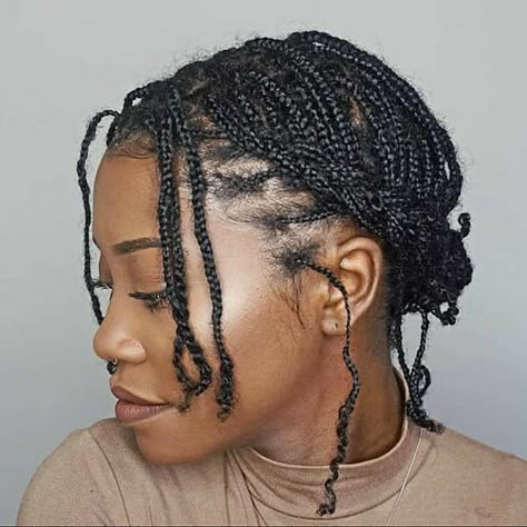 Small Braids Natural Hair No Weave, Mini Twists Long Hair, How To Style Natural Braids, Braided Hairstyles For Short 4c Natural Hair, Summer Vacay Hairstyles, Mini Braids On Relaxed Hair, Mini Braids Hairstyles For Black Women, Mini Plaits Hairstyles Natural Hair, No Extension Protective Styles