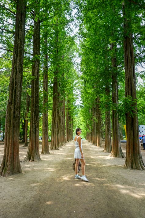 Nami Island Summer, Nami Island Photoshoot, Nami Island Spring, Korea Spring Outfit, Nami Island Korea, Japanese Street Fashion Harajuku, Spring Outfits Korea, Seoul Trip, Outfit Images