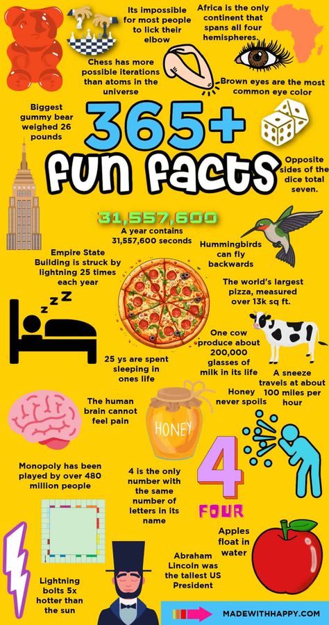 Fun Facts About Science, Fun Facts Bulletin Board, Fun Fact For Kids, Fun Facts About Me Ideas For School, Random Facts Funny, Fun Facts About Me Ideas, Random Facts Mind Blowing, Cool Fun Facts, Facts In English