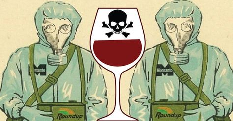 Glyphosate Found in California Wines Barolo Wine, Napa Wineries, Virginia Wineries, Wine Knowledge, Wine Logo, Italy Wine, Toxic Foods, Wine Gift Baskets, Health Ideas