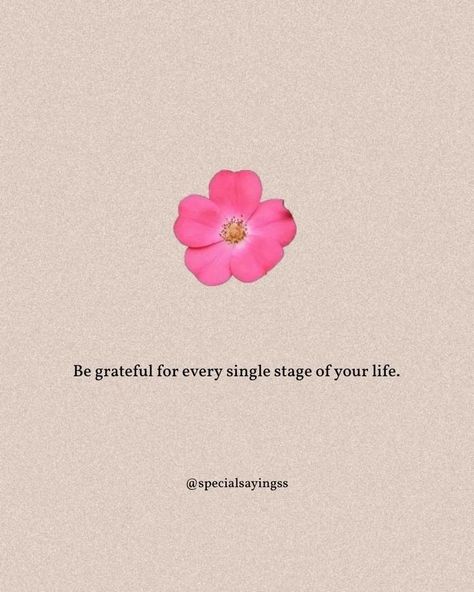 Romantice Your Life Quotes, Beatufil Quotes, Stages In Life Quotes, Small Happiness Quotes, Happy And Grateful Quotes, One Line Thoughts Life, Dp Quotes Inspirational, Single Life Is Best Dp, Life Quotes To Live By Short