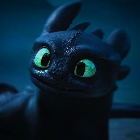 Teethless Dragon, Toothless Pfps, Alterhuman Identities, Toothless Pfp, Toothless Painting, Dragons Background, Toothless Httyd, Httyd Toothless, Stank Face