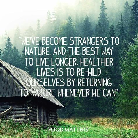 We’ve become strangers to Nature and the best way to live longer is to re-wild ourselves. Collateral Beauty, Food Matters, About Nature, Life Quotes Love, Cabin In The Woods, Enjoy Nature, Nature Quotes, A Quote, In The Woods