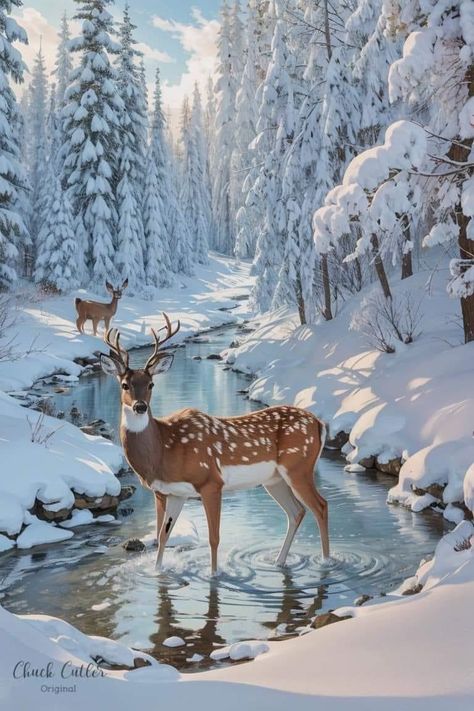 Winter Photography Nature, Scene Pictures, Deer Winter, Winter Picture, Beautiful Winter Scenes, Deer Pictures, Winter Landscape Painting, Winter And Christmas, Christmas Scenery