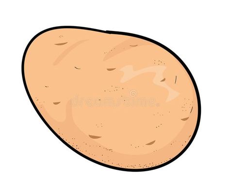 Potato vector illustration Fries Drawing, Potato Drawing, A Hand Drawing, Fresh Potato, Blue Abstract Art, Hand Drawing, Background Illustration, Potato, Stock Illustration