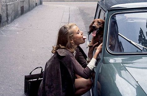 Jane Fonda photographed by Francois Pages in Paris, 1963.31w Jane Fonda 60s, Jane Fonda, Oui Oui, Old Money Aesthetic, French Girl, New Yorker, I Love Dogs, Dream Life, Cute Dogs