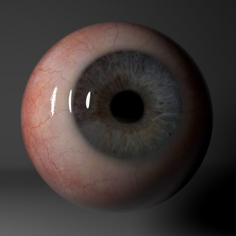 Human Eyeball, Shuffles Cutouts, Eye Model, Eye Texture, Eyeball Art, Eye Eye, Life Paint, Realistic Eye, Tactile Texture