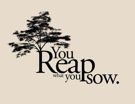 Russian Proverb, Reap What You Sow, Burning Bridges, Sarcastic Quotes Funny, Random Thoughts, Bible Verse Wallpaper, God Jesus, The Culture, Sarcastic Quotes