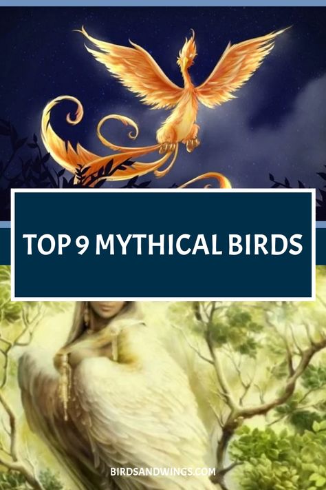 A graphic featuring representations of mythical birds with a headline "Top 9 Mythical Birds" above illustrations of a phoenix in flight and a woman with bird-like features. Mythical Bird Creatures, Types Of Mythical Creatures, Magical Creatures Mythology, Griffin Mythical, Eagle Facts, Mythology Creatures, Names Of Birds, Bird Guide, Ancient Creatures