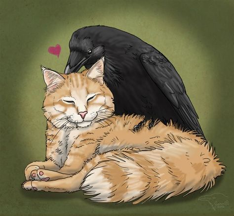 Cat and Crow::Art of Sage Korppi Crow And Cat Art, Cat And Crow Tattoo, Crow And Cat, Cute Crow Art, Crows Drawing, Blackbird Singing, Raven And Wolf, Shadow Wolf, I Love My Husband