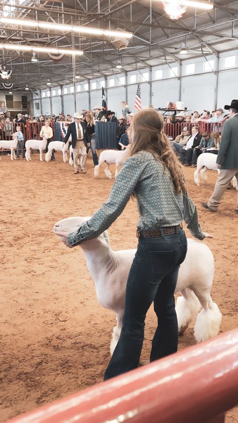 Sheep Showing Outfits, Live Stock Show Outfits, Showmanship Outfit Livestock, Livestock Show Outfits Sheep, Sheep Showmanship, Stock Show, Show Sheep, Livestock Show Outfits, Stock Show Outfits