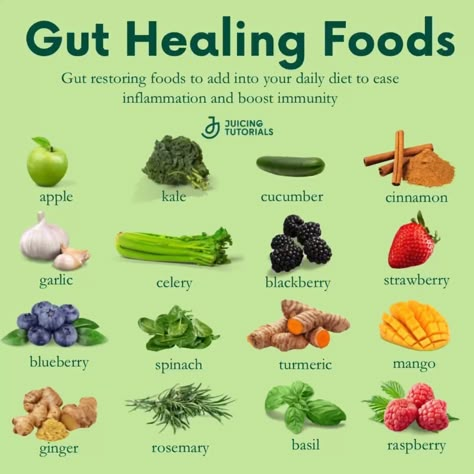 Gut Healing Foods, Resep Diet Sehat, Gut Health Diet, Gut Healing Recipes, Gut Health Recipes, Food Health Benefits, Healing Foods, Healing Recipes, Resep Diet