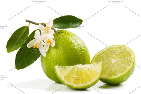 Bunny Illustration, Lemon Art, Avocado Tree, Lime Tree, Lemon Tree, Limes, Fruit Salad, Flat Lay, Flower Garden