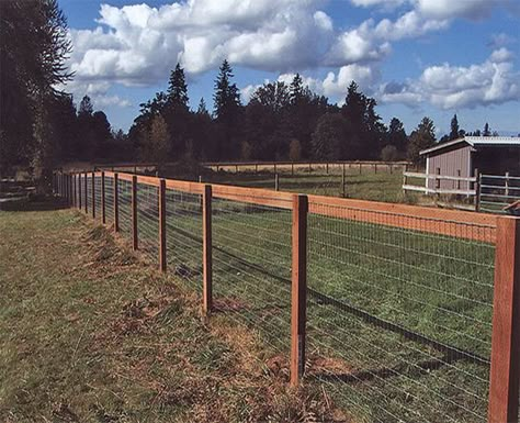 Goat Fence, Fence Planning, Pasture Fencing, Fence Options, Diy Garden Fence, Horse Fencing, Cheap Fence, Diy Fence, Front Yard Fence