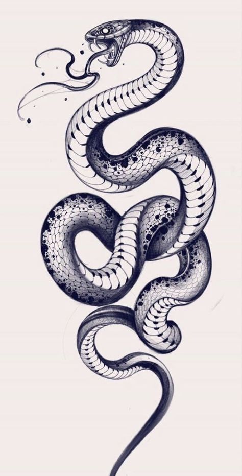 Black Snake Tattoo Design, Snake Drawing Tattoo, Snake Tattoo Drawing, Snake Tattoo Sketch, Snake Tattoo Stencil, Snake Draw, Snakes Drawing, Cobra Tattoo Design, Snake Drawings