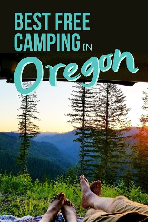 Free camping in Oregon means you can experience mountains, desert, coastline, and more without breaking the bank. Take a look at our list with 10 of the best free camping spots in the state. 10 Free Camping Spots in Oregon Must See Places In Oregon, Oregon Hidden Gems, Oregon Camping Spots, Camping Oregon, Mountains Desert, Free Campsites U.s. States, Oregon Camping, Koosah Falls Oregon, Oregon Landscape