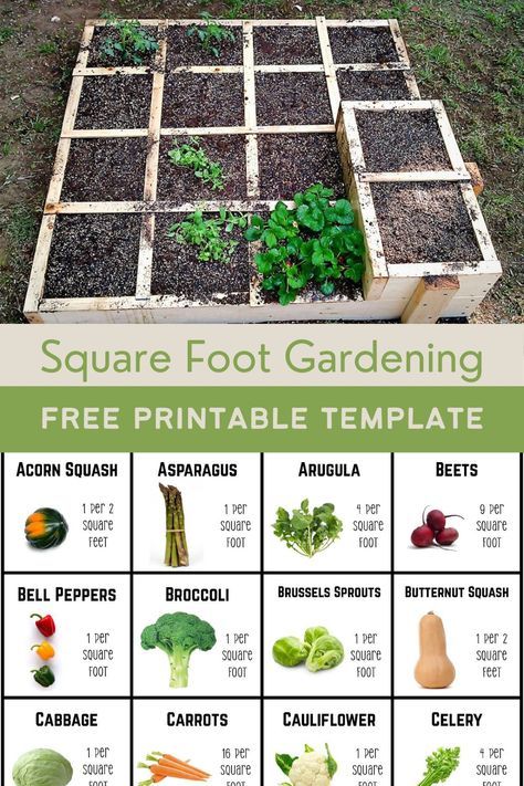 square foot garden and free printable template pin for pinterest Garden Planning Template, Square Foot Gardening Plans, Veggie Garden Layout, Square Foot Gardening Layout, Garden Grid, Square Foot Garden, Raised Garden Bed Plans, Raised Vegetable Gardens, Homesteading Ideas