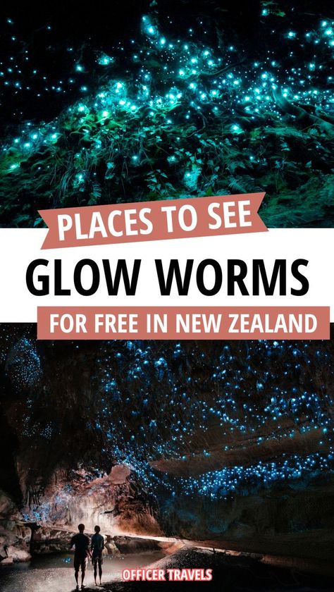 An easy guide to finding glow worms in New Zealand! Find these mystical creatures without spending a dollar on expensive tours, a must do activity when you visit New Zealand.. Discover beautiful caves, glow worms and off-the-beaten-track bays with our New Zealand travel guide to finding glow worms for free all over New Zealand. Including New Zealand north island and New Zealand south island options so you can build the best New Zealand road trip itinerary and see glow worms wherever you stop! New Zealand Tourist Attractions, Auckland Travel, Road Trip New Zealand, Glow Worms, Best Scenery, New Zealand North Island, New Zealand Road Trip, New Zealand Itinerary, North Island New Zealand