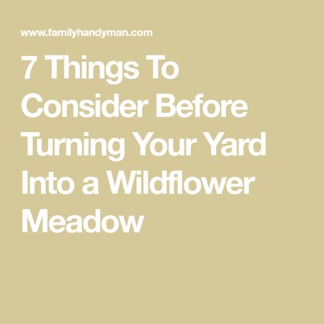 7 Things To Consider Before Turning Your Yard Into a Wildflower Meadow Meadow Garden, Overwintering, Wildflower Meadow, Soil Testing, Soil Layers, Wildflower Garden, Invasive Species, Traditional Garden, City Garden