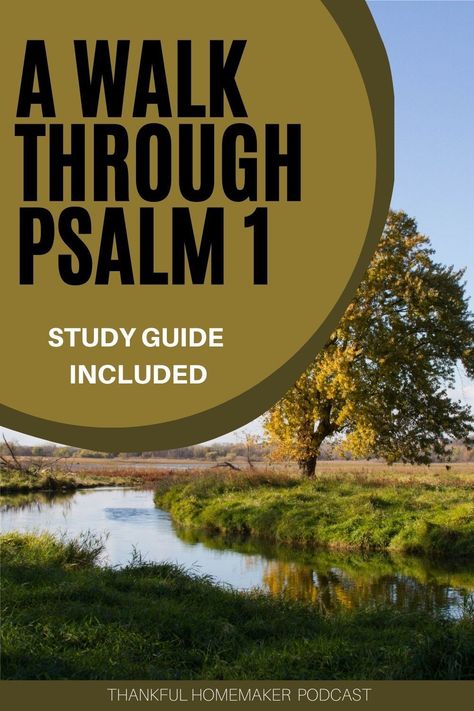 Psalm 1 stands as an introduction to the rest of the Psalms. It describes two different paths that we frequently see in the Psalms; the way of the righteous and the way of the wicked. We're going to walk through this Psalm together in today's episode.⁣ Psalm 1 Bible Study, Bible 101, Bible Study Activities, Study Activities, Church Marketing, Christian Homemaking, The Psalms, Bible Topics, Psalm 1